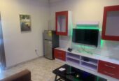 One bedroom Furnished apartment