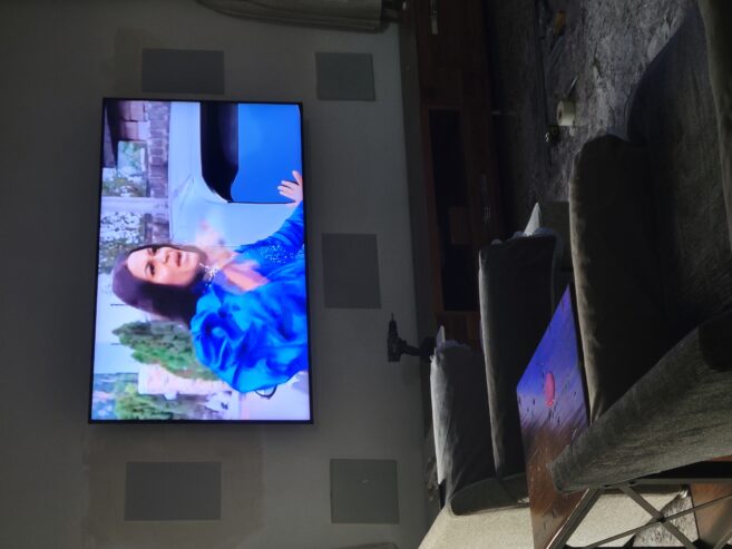 Professional AV and home automation solutions