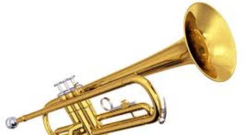 Musical instruments