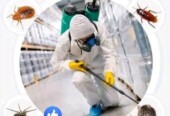 Called for ur Fumigation pest control services now