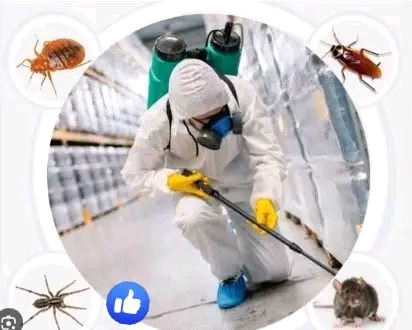 Called for ur Fumigation pest control services now