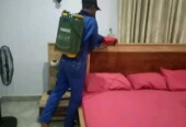 Called for ur Fumigation pest control services now
